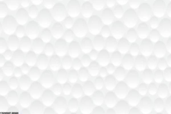 新疆体育老师培训教案，教学方法创新分享(图1)